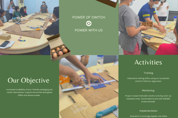 Recycle Carton box an Alternative to plastic Packaging for egg