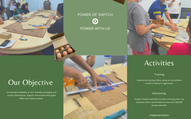 Recycle Carton box an Alternative to plastic Packaging for egg