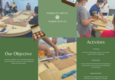 Recycle Carton box an Alternative to plastic Packaging for egg