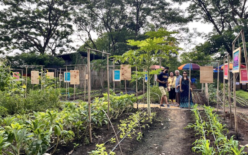 Kokkoya Green Festival 2022; bringing the community together to #SWITCH