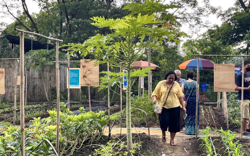 Kokkoya Green Festival 2022; bringing the community together to #SWITCH