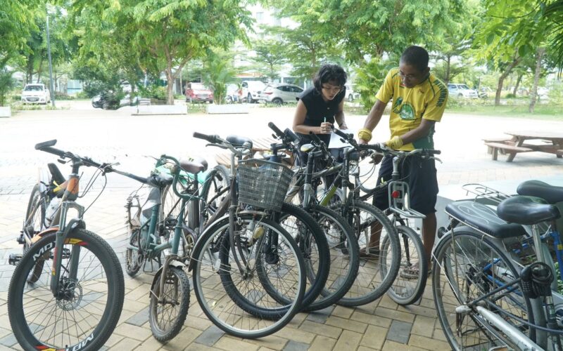 Art of Bicycle Repair