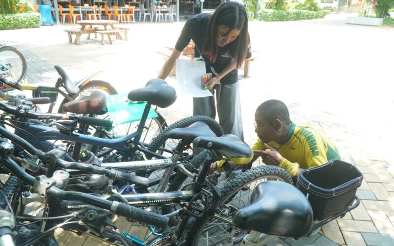 Art of Bicycle Repair