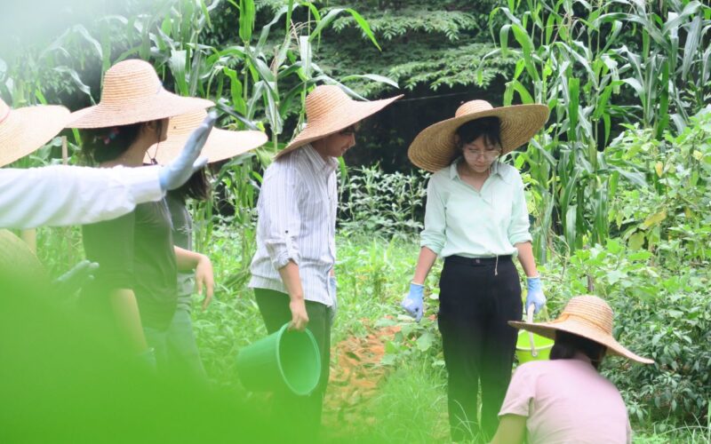 World Environment Day 2025